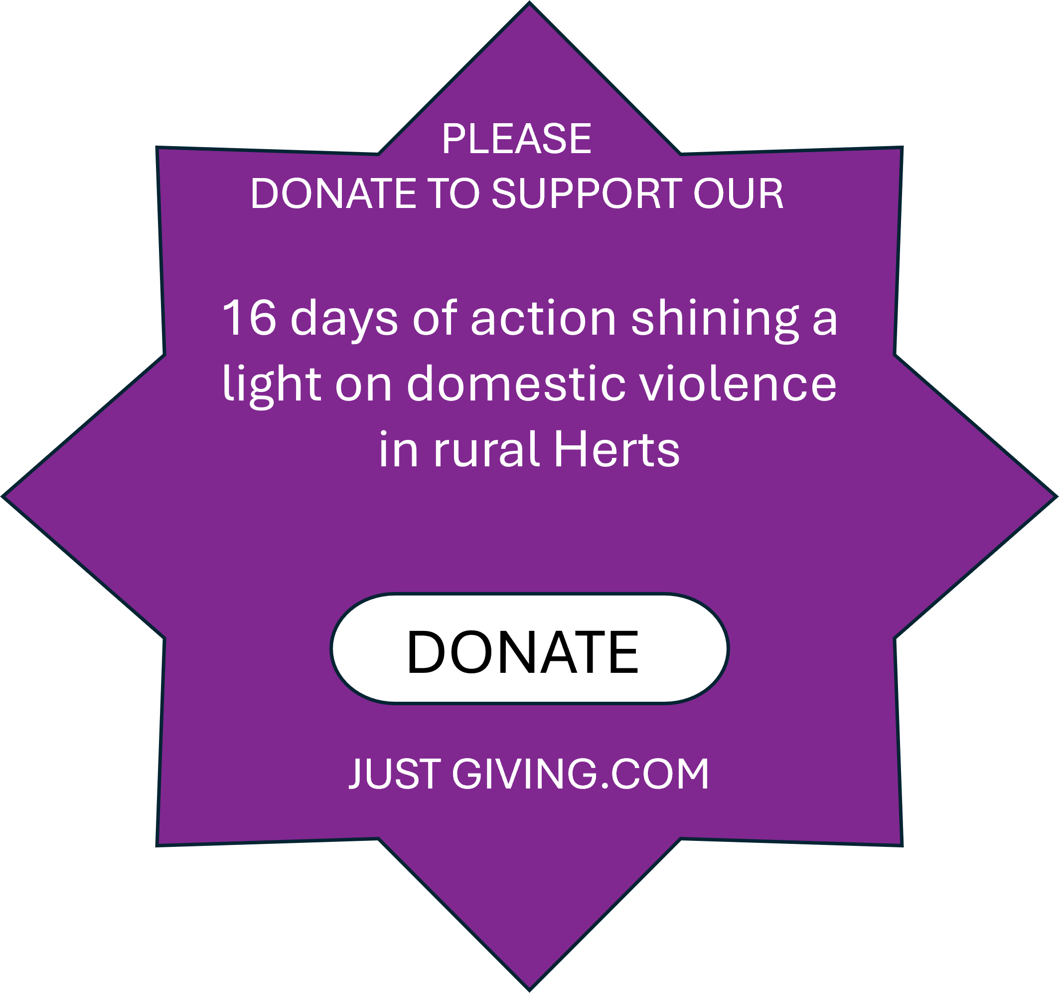 Donate on JustGiving