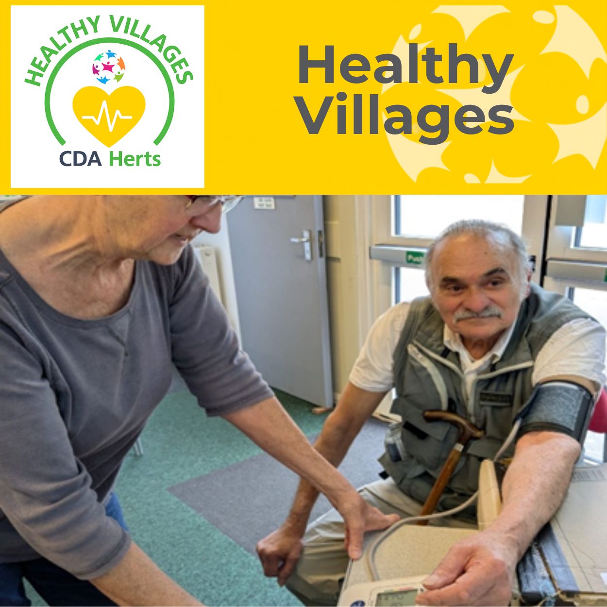Healthy Villages